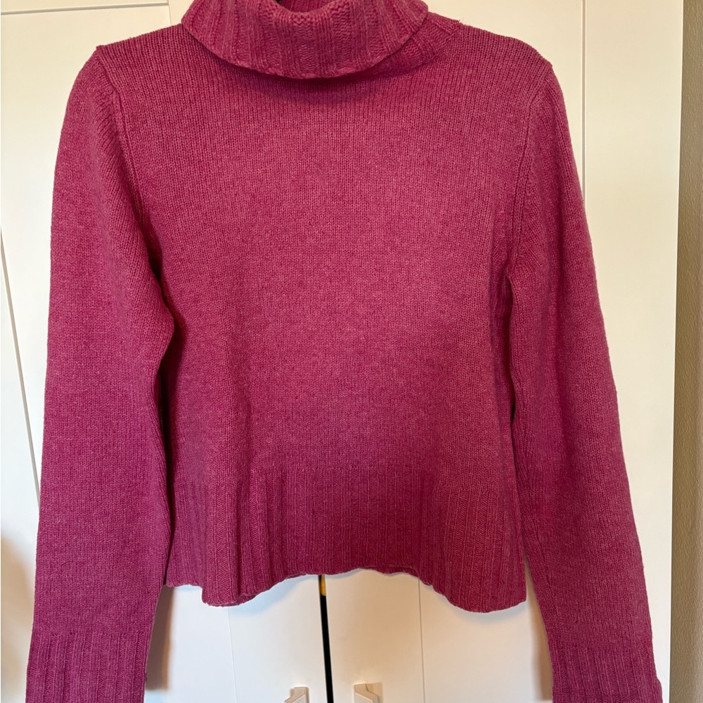 J. Crew Raspberry Turtleneck Sweater